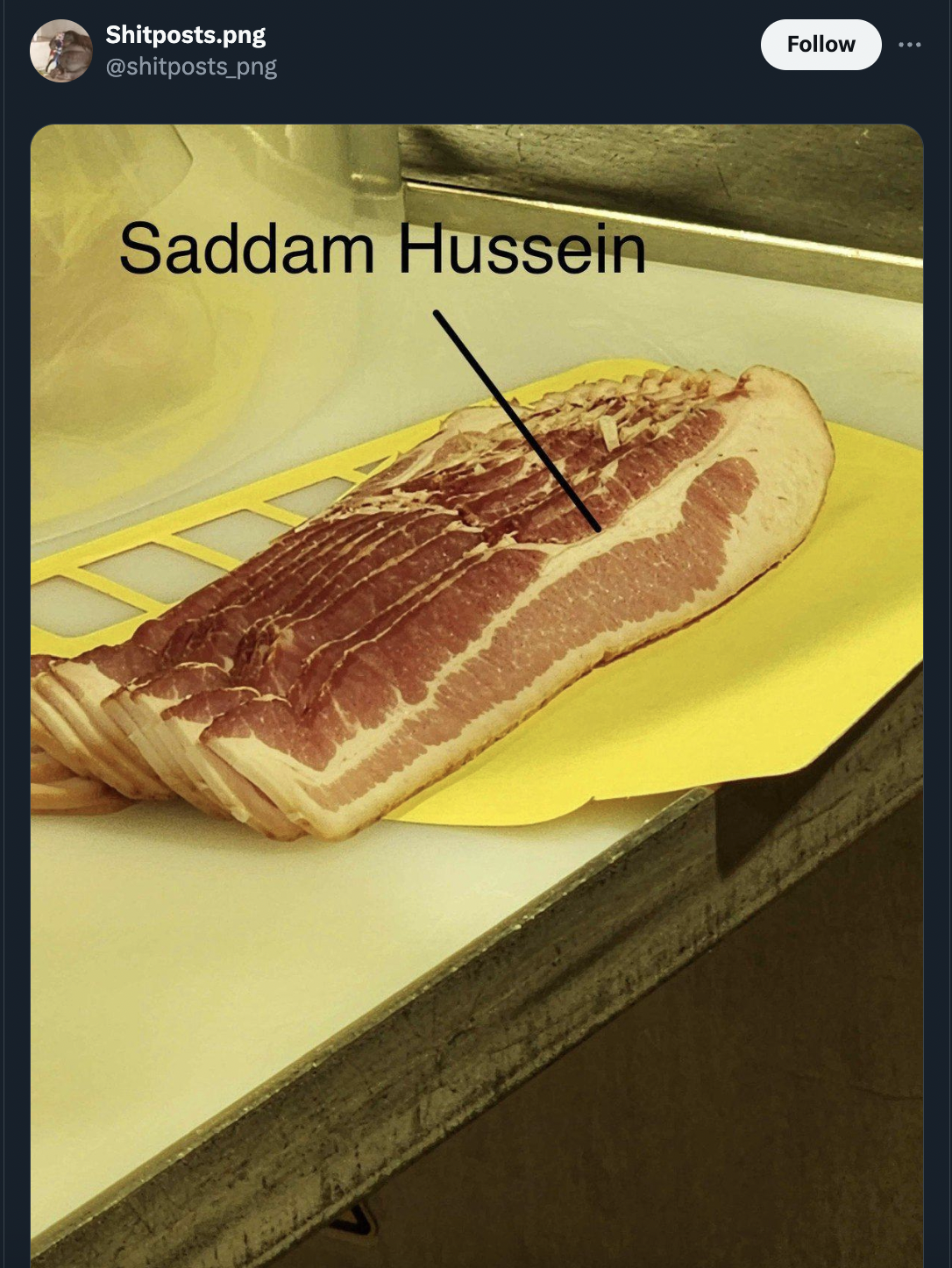 saddam bacon - Shitposts.png Saddam Hussein